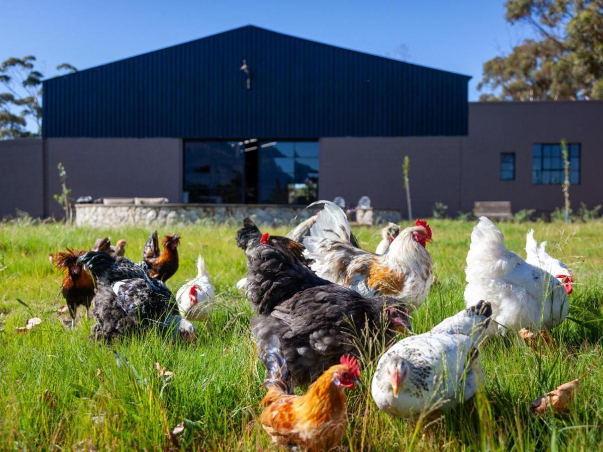 Rivergate Guest Farm Станфорд Екстериор снимка