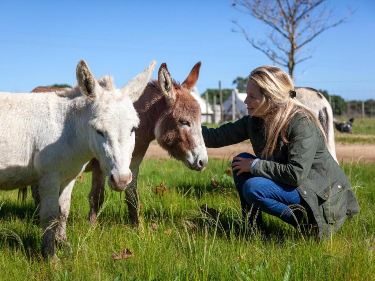 Rivergate Guest Farm Станфорд Екстериор снимка