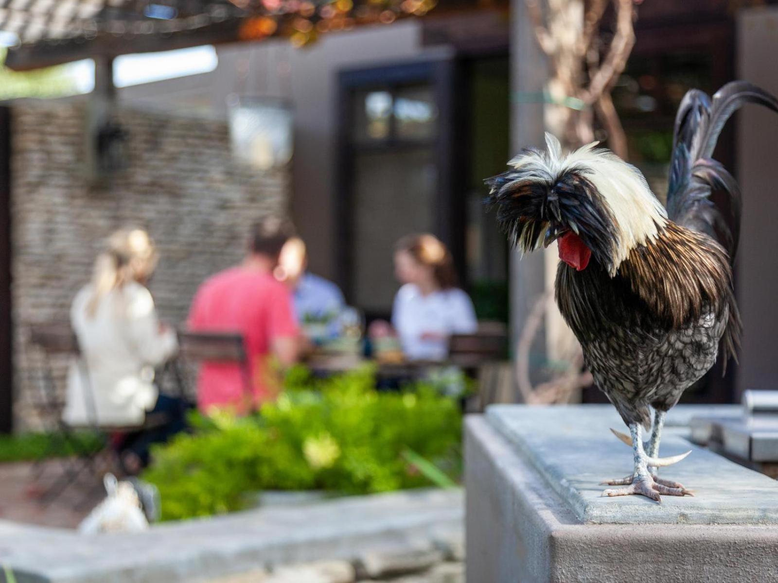 Rivergate Guest Farm Станфорд Екстериор снимка
